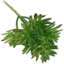 Succulente artificiali in - ,