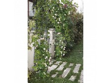 Arco in ferro per rampicanti e ingresso giardino piante cm 37x130xh240 Verdemax