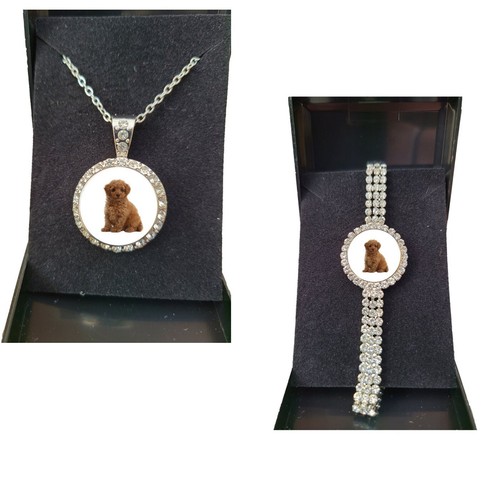 Set toy poodle dog pet - of,
