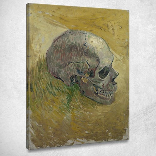 Cranio vincent van gogh - cranio,