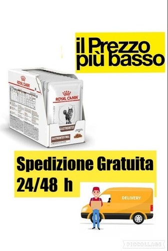 Bustine umido - 12,