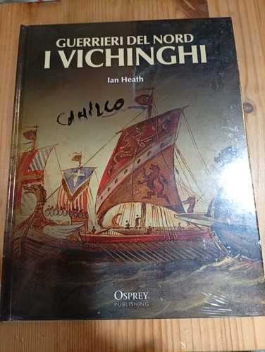 Guerrieri del nord vichinghi - guerrieri, i