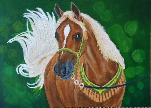 Cavallo corsa nome - da,