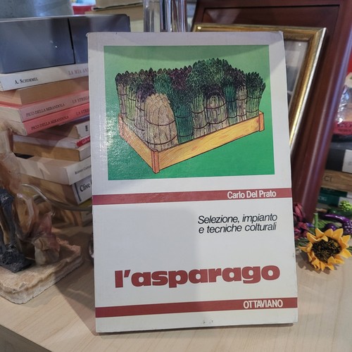 Asparago selezione impianto - l',
