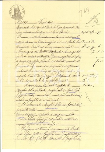 1899 gussola elia - 1899, maglia