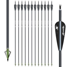 12PCS 30" Frecce in Carbonio