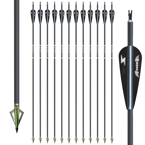 12pcs frecce in carbonio - 30",