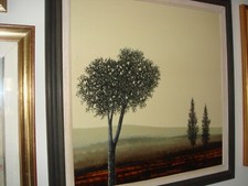 FABIO GRASSI (Massa 1956) MON