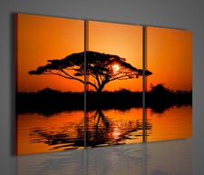 QUADRO MODERNO BEATIFUL AFRICAN SUNRISE REFLECTED QUADRI MODERNI ARREDARE CASA 
