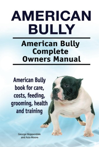 American bully - bully.,