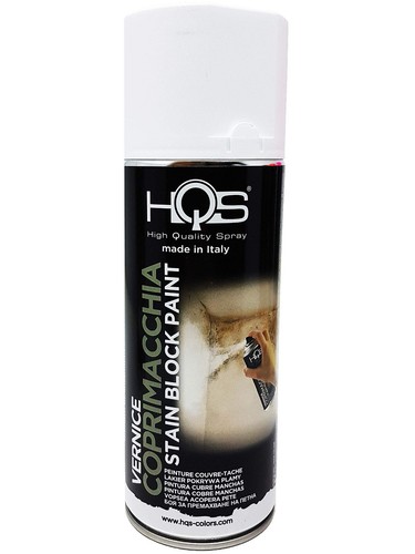 Bomboletta spray vernice
