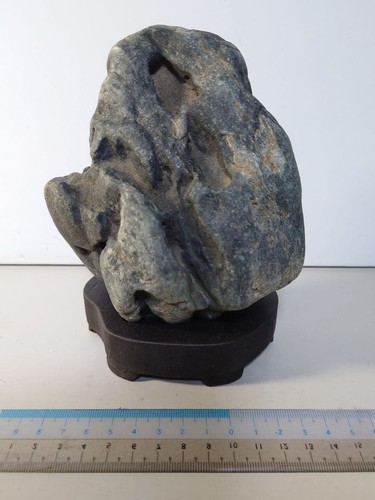 Roccia bonsai giapponese - , a