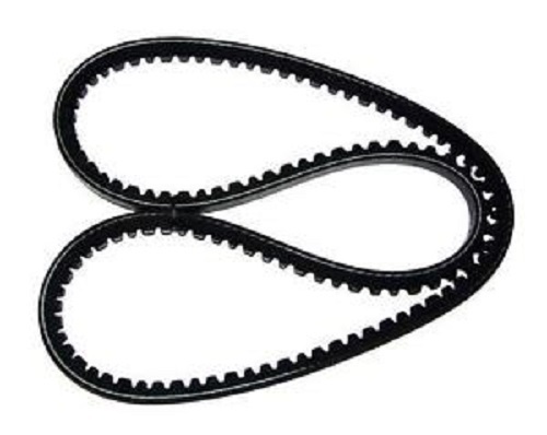 Cinghia alternatore motore