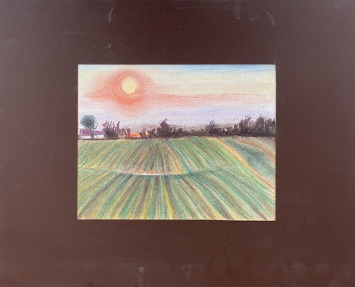Campo naturale tramonto sole - campo,