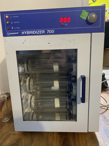 Stratagene hybridizer 700 - hybridizer,