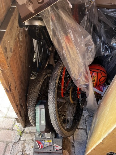 Bicicletta mountain bike - mountain,