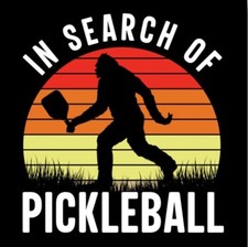 Alla ricerca di PickleBall.Su