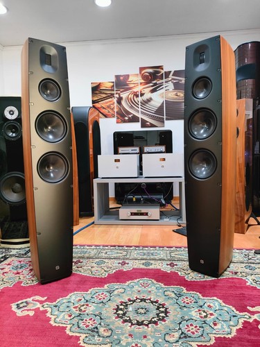 Scansonic q10 coppia diffusori - scansonic,