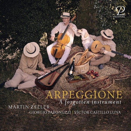 The arpeggione oblivion - arpeggione,