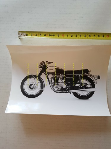 Triumph bonneville 650cc - bonneville,