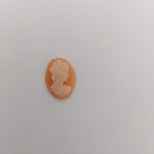 Cammei camei cameo conchiglia - cammei,