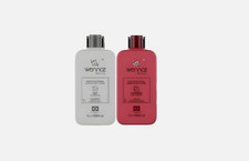 Wennoz Napolitan Fusion Fragola B.Tox trattamento per capelli anti-crespo 1 L