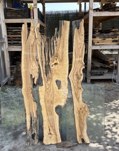 Tavole legno ulivo 3pezzi - ulivo,