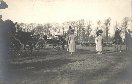 Rotterdam carrozza cavallo
