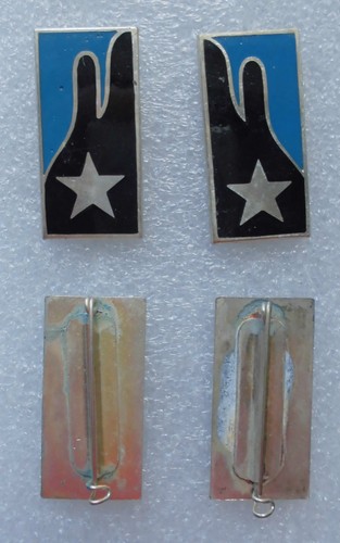 Coppia mostrine arma - coppia,