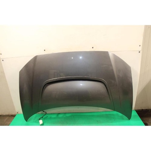 Cofano ant jaguar - cofano, (18)