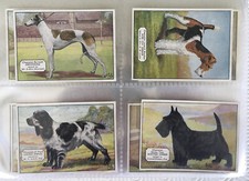 Ardath CHAMPIONS DOGS 1934 set completo di 25       no wills player carreras dog