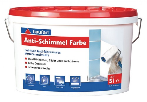 Baufan pittura antimuffa - pittura,