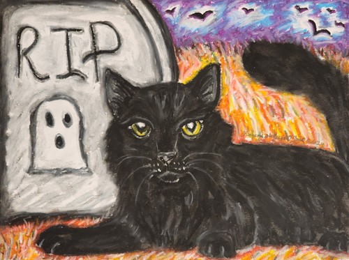 Gatto siberiano nero stampa - nero,