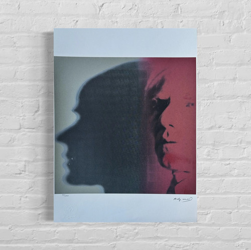 Andy warhol shadow - andy, litografia