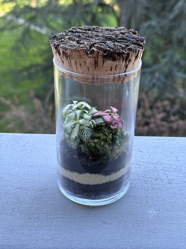 terrarium