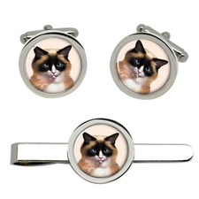 Gatto Ragdoll Gemelli E