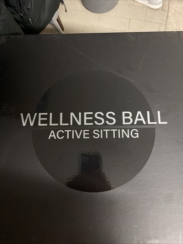 Wellness ball active sitting - ball,