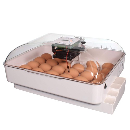 Incubatrice automatica per