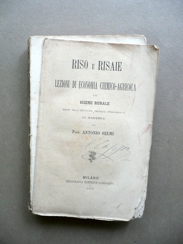 Riso risaie lezioni di - riso,