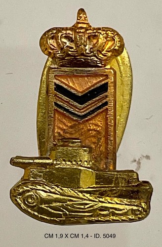 Regio esercito carristi - regio,