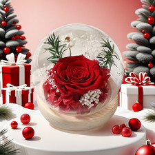 Rosa Conservata in Vetro