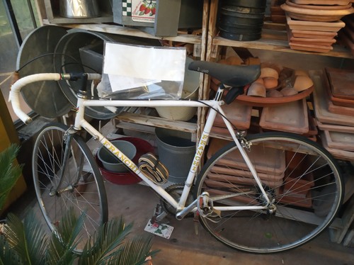 Bicicletta eroica corsa - bicicletta,