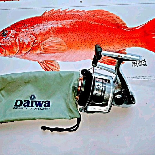 Mulinello spinning daiwa - mulinello,