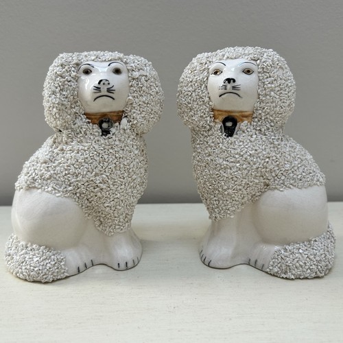 Coppia barboncino confetti - coppia,