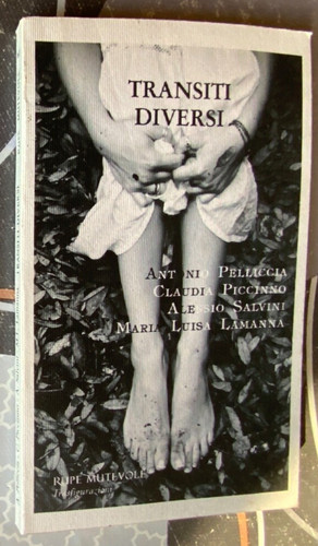 Transiti diversi pelliccia - diversi,