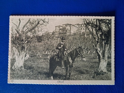 1182 cartolina nobile - 1182.8.cartolina, n1:nobile