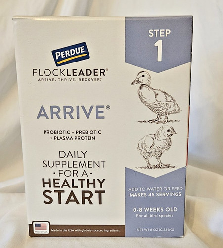Flockleader arrive - flockleader,