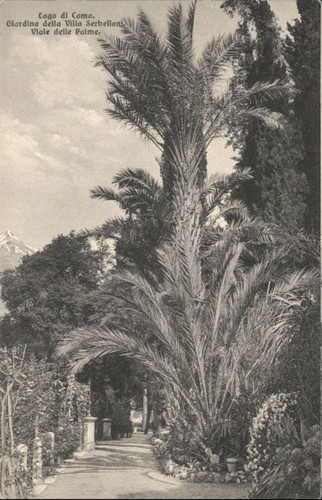 Giardino villa serbelloni - villa,