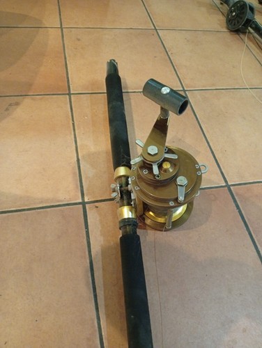 Canna big game tonni - da,