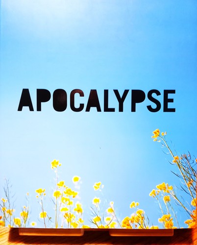 Apocalypse beauty and horror - apocalypse,